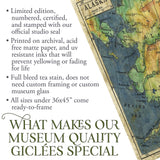 012 Alaska 1906 11x14" vintage historic antique map poster print by Lisa Middleton