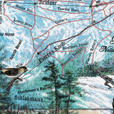 227 Ski Runs of Bridger Bowl Montana vintage historic antique map poster print by Lisa Middleton