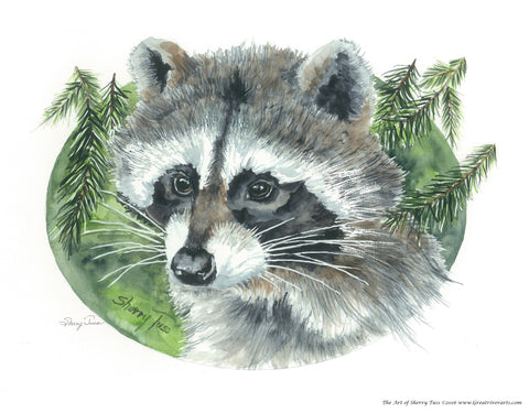 The Art of Sherry Tuss: Coon