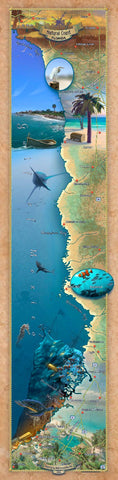 291-Custom map of the Natural Coast, Florida